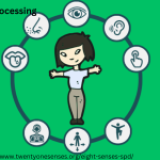 DAFTAR PERILAKU SENSORIK